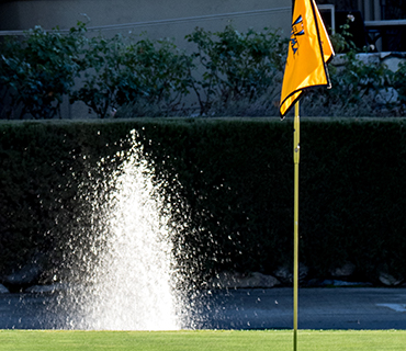<span>Today</span> 
The Pauma Valley Country Club continues to operate as a private golf and country club, one of America's most exclusive hideaways that is dedicated to preserving the charm of Old California and the great game of golf.